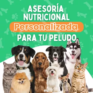 Imagen de portada para Ebook Asesorías nutricionales personalizadas 