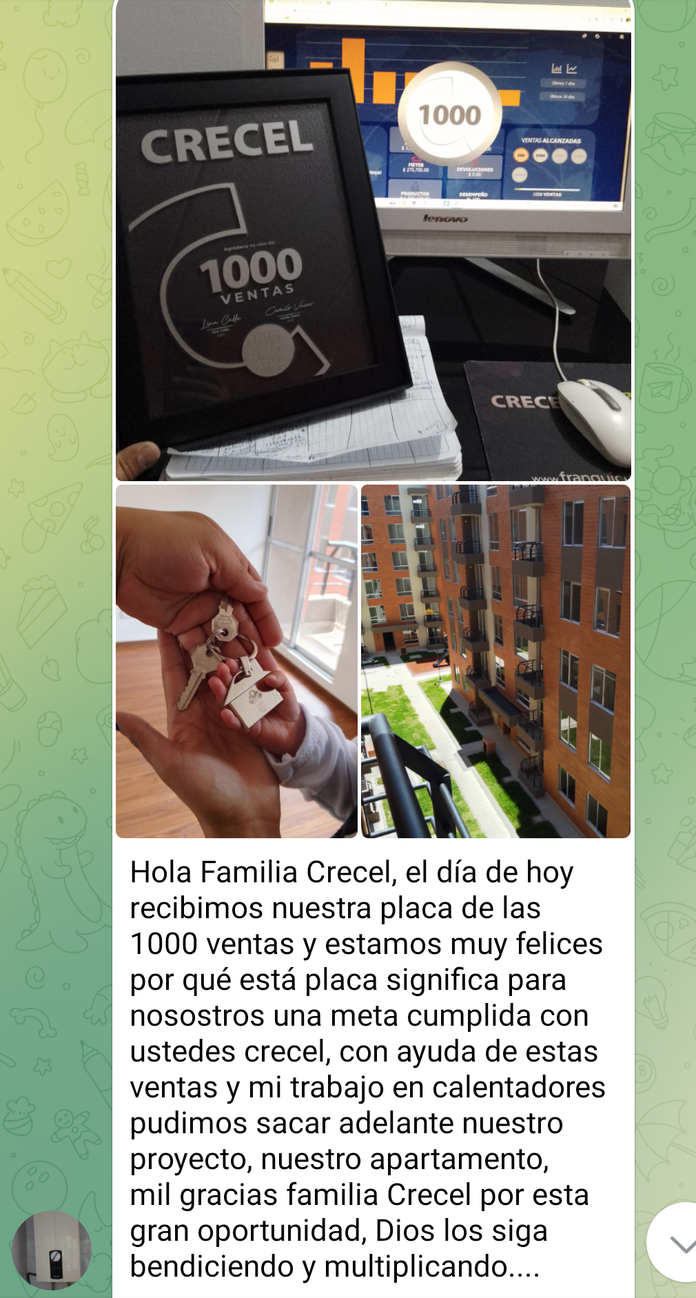Sistema Drophacking Internacional