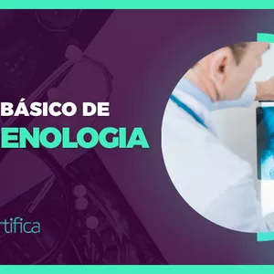 Imagem de capa para o Curso online Curso Básico de Imagenologia