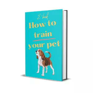 Cover image for Online course How to train your pet