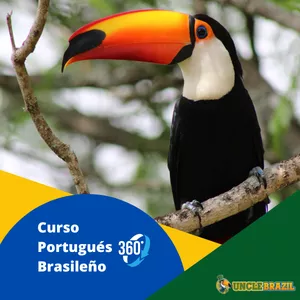 Imagem do curso Curso Portugués Brasileño 360 