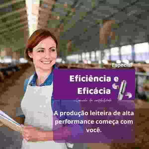 Imagem de capa para o Curso online Eficiência x Eficácia na Pecuária Leiteira