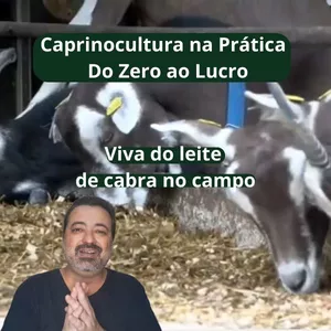 Imagem do curso Caprinocultura na Prática – Do Zero ao Lucro