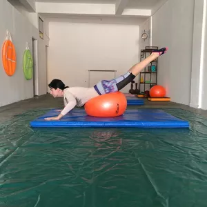 Imagem de capa para o Curso online Clube da Ginástica Online