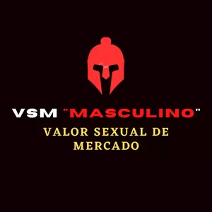 Imagem de capa para o Ebook VSM masculino