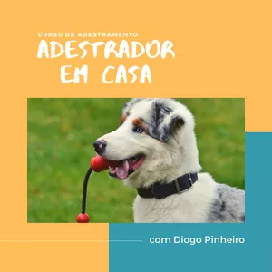 Capa do curso 