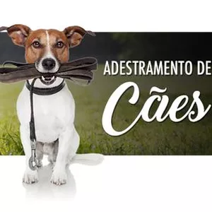 Imagem do curso Adestrando Seu Pet
