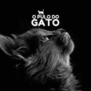 O Pulo do Gato — A Fórmula Mágica para Aprender Qualquer Idioma