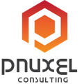 Pnuxel Academy logo