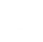 The Bitcoin Transition
