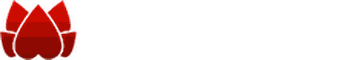 The Awakened Lifestyle