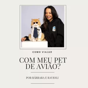 Imagem de capa para o Ebook Como viajar com meu pet de aviao? 