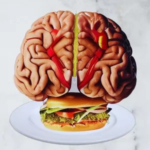 Imagem de capa para o Ebook Driblando as armadilhas do Cérebro