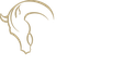 Doma y Galope