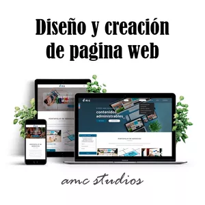 Imagen de portada para Curso online Diseño y creación de pagina web 