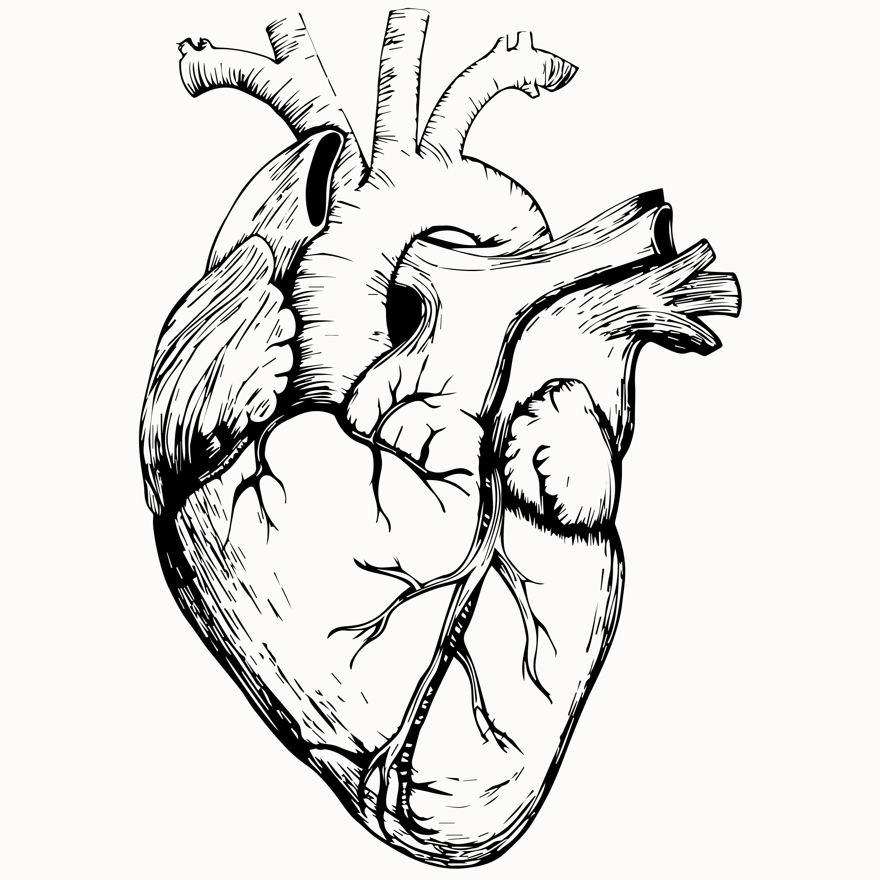 Heart Outline Digital Download