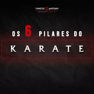 Imagem do curso OS 6 PILARES DO KARATE