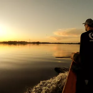 Planilha Viver em Liberdade: Do zero a independência financeira