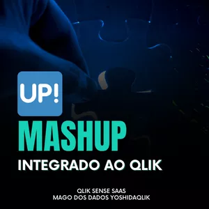 Imagem de capa para o Curso online MASHUP - QLIK SENSE