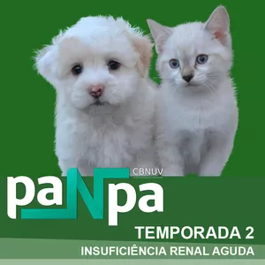 Curso PaNpa Temporada 2