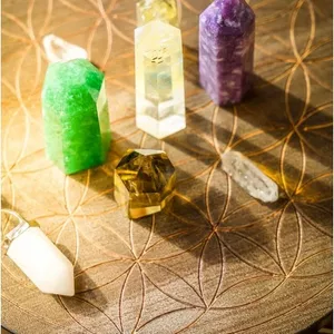 Imagem de capa para o Serviço online Raízes Ocultas