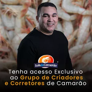 Imagem de capa para o Curso online Tenha acesso Exclusivo ao Grupo de Criadores e Corretores de Camarão