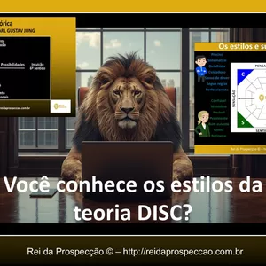 Certificação em Análise de Perfil Comportamental Teoria DISC + Tipologia Junguiana - REI DA PROSPECÇÃO