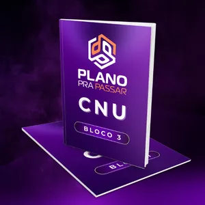 Imagem de capa para o Curso online MENTORIA PPP - CNU - BLOCO 3