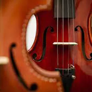 Imagem principal do produto Aprenda a tocar violino sozinho