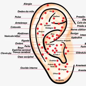 Imagem de capa para o Curso online Auriculoterapia