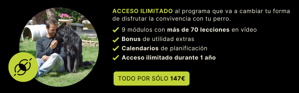 Hiperapego y dependencia emocional