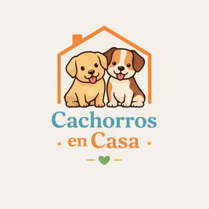 Imagen de portada para Curso online Cachorros en Casa