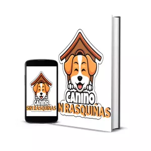 Imagen de portada para Curso online PROTOCOLO ZERO COCEIRA