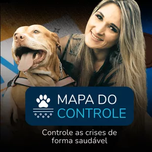 Imagem de capa para o Curso online Mapa do Controle