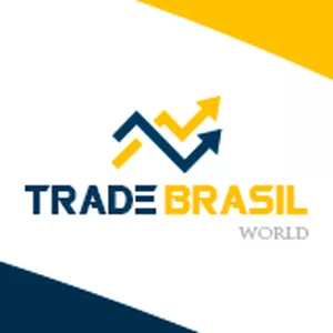 Curso SETUP PARA OPERAÇÕES NA IBOVESPA TRADEBRASILWORLD