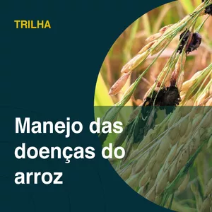 Imagem de capa para o Curso online Manejo das doenças do arroz