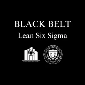 Imagem de capa para o Curso online Formação Black Belt em Lean Six Sigma 