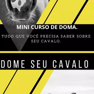 Imagem do curso Mini curso sobre doma de cavalos 