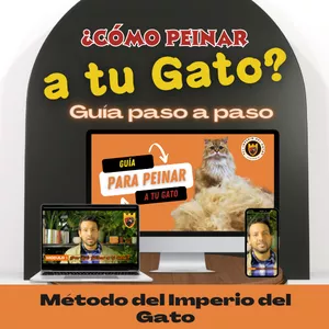 Imagen de portada para Curso online ¿Cómo peinar a tu Gato?
