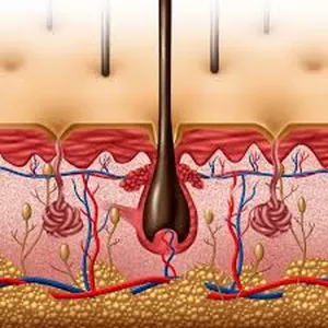 Imagem do curso Tricologia 