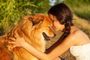 HundeOnlineSchule 