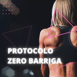 Imagem de capa para o Ebook Protocolo zero barriga