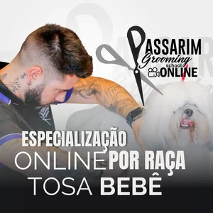 Imagem de capa para o Curso online Especialização Online - Tosa bebê Shih–Tzu