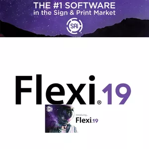 Imagem de capa para o Curso online SAI FLEXI 19 