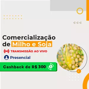 Imagem principal do produto Curso Online Comercialização de Milho e Soja