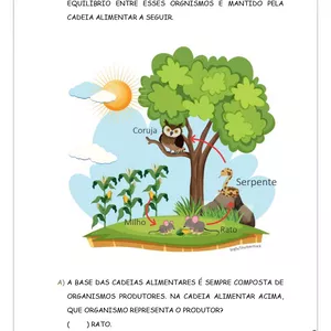 Imagem de capa para o Ebook Atividade Teia Alimentar 