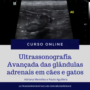 Imagem de capa para o Curso online Ultrassonografia avançada das glândulas adrenais em cães e gatos