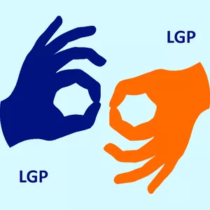 Imagem de capa para o Curso online Iniciação à LGP Nível I