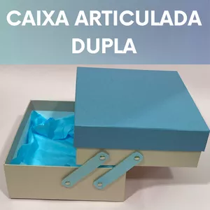 Imagem de capa para o Curso online Caixa Articulada Dupla | por Mariana Cortez