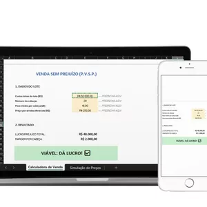 Imagem de capa para o Ebook Planilha Venda Sem Prejuízo (P.V.S.P.) - Plano Básico